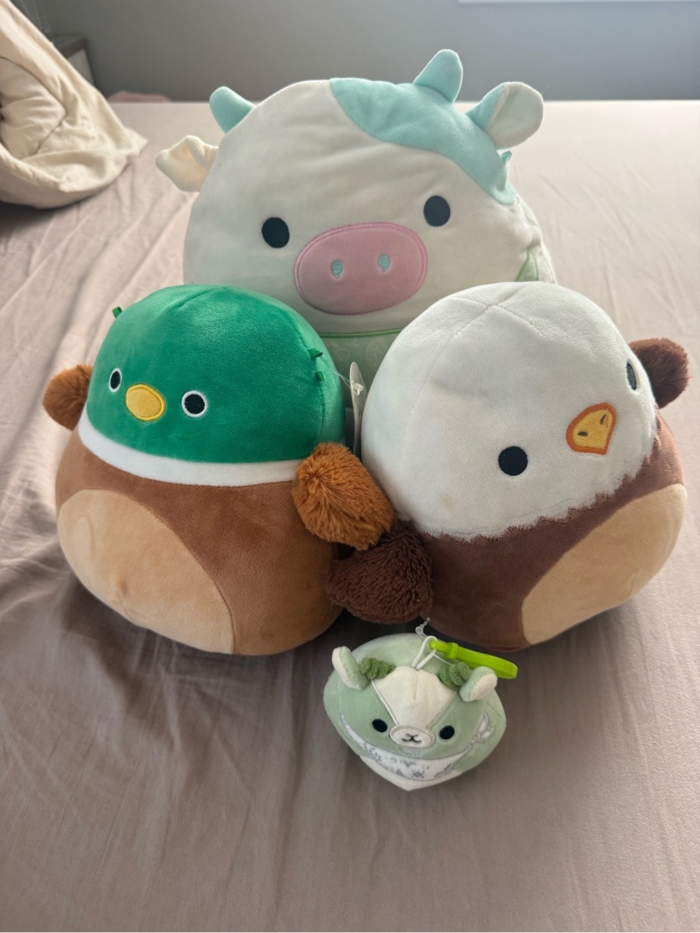 Squishmallow Bundle
